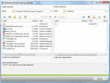 TeamViewer Portable v6.0.10344