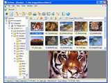 XnView for Linux v1.70