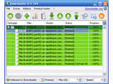 JDownloader (portable) v0.9.580