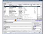 Executor v0.99.11b
