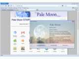 Pale Moon Portable v12.2