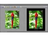 Fotosketcher v2.30