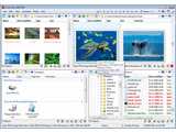 Q-Dir (Portable) v5.30