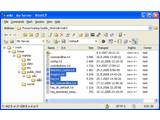 WinSCP v4.1.4 Beta