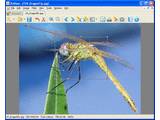 XnView v1.82.4