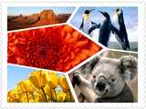 ToolWiz Pretty Photo v2.7