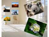 ToolWiz Pretty Photo v2.7