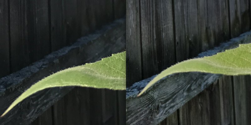 Kuvassa iPhone 7 Plus vasemmalla ja OnePlus 5 oikealla