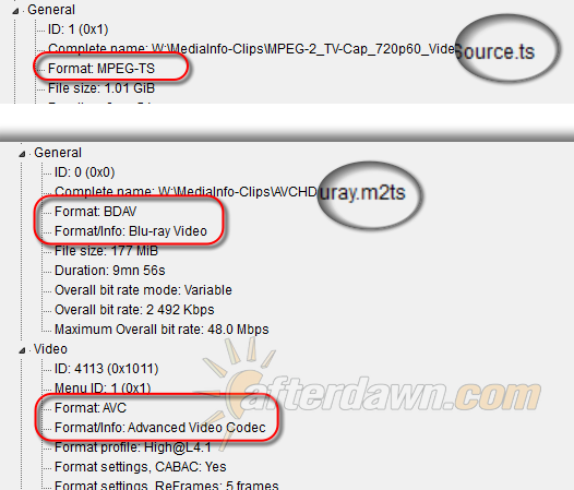 MediaInfo showing H.264 (MPEG-4 AVC) in a Transport Stream - AfterDawn.com