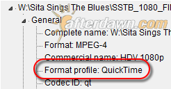 MediaInfo container details for HDV video in QuickTime container - AfterDawn.com