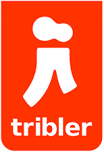 BitTorrent client Tribler nachtmerrie voor Brein en co.