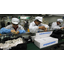 ABC shows off harsh working conditions at Foxconn
