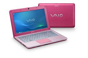 Sony Vaio VPCW21S1E/P