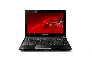 Packard Bell dot S-E2-513NC