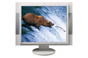 Eizo FlexScan M1950