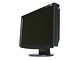 Eizo FlexScan S2110W