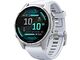 Garmin Fenix 8 (AMOLED, 43 mm, steel)