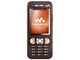 Sony Ericsson W890i